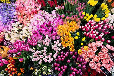 《冰汽时代2》新预告：7月25日发售 首发加入XGP